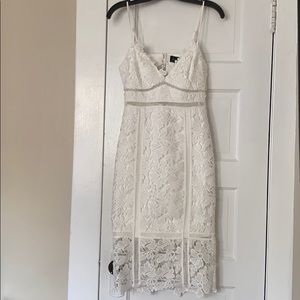 Bardot Botanica lace dress